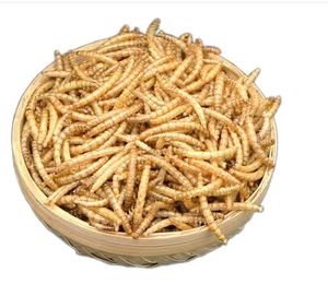 Gusanos <span class=keywords><strong>de</strong></span> pez dorado <span class=keywords><strong>de</strong></span> alta proteína, comida seca para gusanos <span class=keywords><strong>de</strong></span> la harina para Koi King Betta, peces ornamentales, salmuera, <span class=keywords><strong>huevos</strong></span> <span class=keywords><strong>de</strong></span> camarones para caballos, ganado, cerdo, perro - Product Image 6