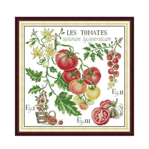 Patrón de punto de cruz DIY estilo vintage de granja y jardín con ilustración botánica de tomates franceses para principiantes, lienzo para bordado. - Product Image 2