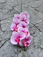 H- 078 Bunga Cymbidium Sentuhan Nyata Bergaya Eropa Anggrek Buatan Cymbidium Phalaenopsis