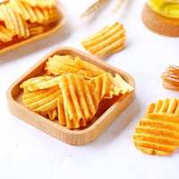 Papas Fritas Exóticas Saladas de Textura Semiblanda, Listas para Comer, en Bolsa de 70g, de Fabricante Profesional Mayorista