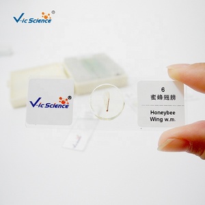 Bộ Kính Hiển Vi Mô Học Cơ Bản Cho Người 24 Sản Phẩm Cầu Trượt Mô Học - Product Image 4