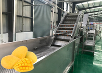Passie Fruit Pulper Pulp Machine Voor Fruit Mango Pulping Machine Voor Verkoop