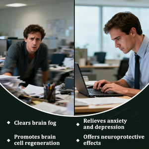 Capsules Nootropiques DeepMind Neuro Repair Crinière de Lion Phosphatidylsérine Safran Mémoire Concentration Humeur OEM - Product Image 4