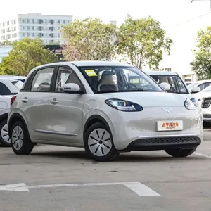 Carro elétrico sem escovas da tecnologia RC para crianças 24V de alto desempenho com logotipo OEM em escala 1/5