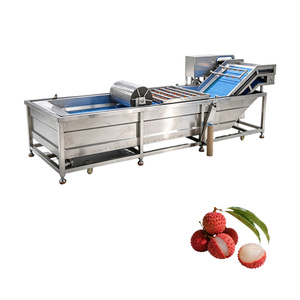 Machine de nettoyage industrielle à brosses rotatives pour fruits et légumes, garantie 1 an, machine à laver les mangues et les bananes - Product Image 1