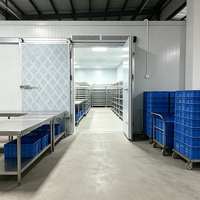 Chambre froide professionnelle pour fleurs et produits frais ; Réfrigérateur extérieur résistant aux intempéries pour la maison ; Chambre froide avec rail à viande pour la transformation de la viande