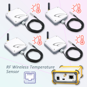 เซ็นเซอร์วัดอุณหภูมิห้องเย็น เซ็นเซอร์วัดอุณหภูมิแบบไร้สาย RF สำหรับห้องเย็น ระบบตรวจสอบอุณหภูมิห้องเย็น - Product Image 1