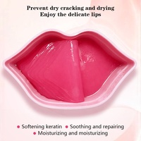 Masque Lèvres Hydratant et Repulpant au Collagène PDRN et Acide Hyaluronique, 20 pièces, Gel Nuit Végétalien, Marque Privée OEM, Logo Personnalisé