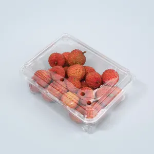 Großhandel benutzer definierte Einweg Clam shell Lebensmittel verpackungs behälter Kunststoff Kirsch tomaten Verpackungs box