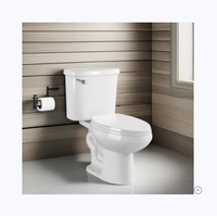 Ensemble WC deux pièces allongé en céramique, cuvette de toilette à poser au sol avec siphon en S, design moderne et motif de drainage pour salle de bain