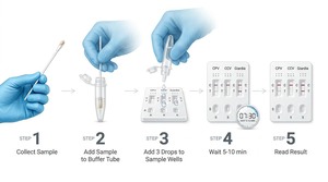 Kit Test Rapido Antigenico 3-in-1 CPV CCV <span class=keywords><strong>Giardia</strong></span>, Un Campione Fecale, Diagnosi Tripla della Diarrea, 10 Minuti, OEM ODM 1 o 25 Test - Product Image 3