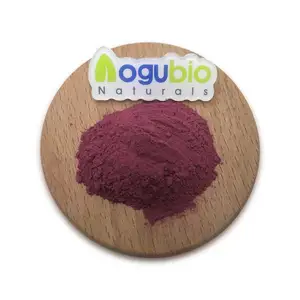 Orgánico 95% OPC Extracto de semilla de uva Pure Grape Seed Sowder