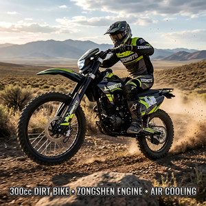 300cc Motocross <b>Bike</b> Professional Dirt <b>Bike</b> 4 Stroke <b>Engine</b> Racing Motorcycle High Performance CB300 Model - Product Image 2
