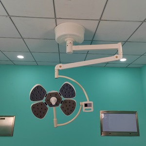 Lampe chirurgicale sans ombre à double tête en forme de pétale, source de lumière froide LED 150W pour examen buccal des animaux, certifiée CE - Product Image 3