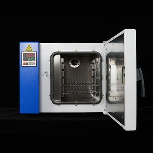 Stérilisateur à air chaud BIOBASE Chine 200L avec contrôle précis de la température et fenêtre de visualisation pour laboratoire - Product Image 2