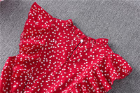 Nouvelle Robe Longue Élégante à Volants et Imprimé Cœur à Pois pour Femme – Sans Manches, Taille Haute, Printemps-Automne, Rouge