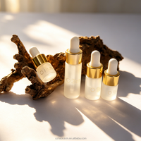 Flacons compte-gouttes en verre rechargeables haut de gamme de 1 à 10 ml – Bouteille givrée avec bouchon compte-gouttes doré pour sérums de soin de la peau