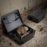 Station d'appâtage pour rats vivants, piège à taupes et souris, boîte de contrôle des rongeurs à capture multiple