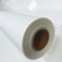 Meilleure Qualité Dtf Pet Film Rouleau 30cm 60cm Transfert Dtf Film pour Dtf Impression A3 Pet Film