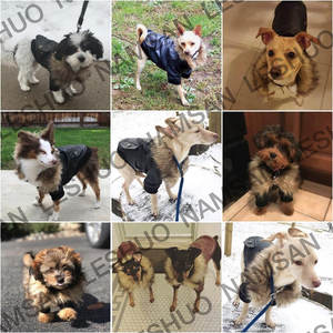 Abrigo de invierno para perros-Impermeable para perros pequeños - Product Image 4
