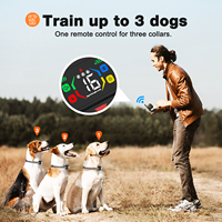 Nouveauté collier de dressage pour chien télécommandé IPX6 étanche rechargeable bip vibration choc électrique dispositif d'entraînement sûr