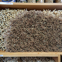 Les fabricants de nouvelles ventes directes de vers de vase en granulés lyophilisés de haute qualité pour la nourriture des poissons de compagnie 100% peau protéinée naturelle