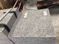 Dalles de granit gris modernes en gros pour marches d'escalier extérieures, finition flammée, écologiques, durables, solution de design graphique