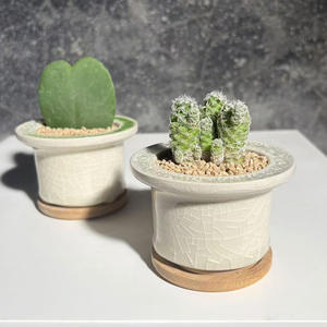 Pot de fleurs en céramique minimaliste et respirant, finition craquelée, pour plantes vertes, cactus, petit plateau de bonsaï de bureau, transfrontalier - Product Image 6