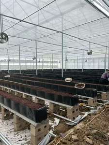 Réservoir de cuvette de culture sans sol ANTI-UV, plateaux de <span class=keywords><strong>gouttière</strong></span> pour myrtille, rose, <span class=keywords><strong>fraise</strong></span>, tomate, fleurs coupées fraîches - Product Image 4