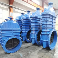 Vannes à opercule à joint élastique en fonte ductile ANSI API BS5163 F4 à bride manuelle PN16 DN600 DN1200 DN800