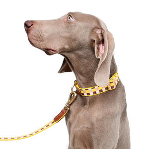 Venta al por mayor precio de fábrica de lujo personalizado suministros para mascotas de nylon duradero <span class=keywords><strong>collar</strong></span> de perro arnés Correa conjunto para perros grandes - Product Image 1