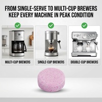 Tablettes détartrantes pour machine à café OEM ODM personnalisées, nettoyant effervescent professionnel de qualité alimentaire pour machine à expresso universelle