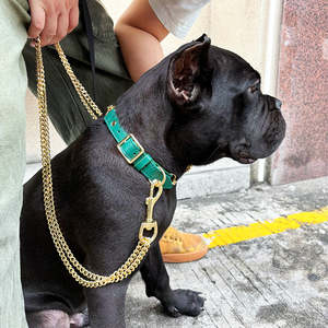 Ensemble collier et laisse en métal acier inoxydable avec chaîne pour chien personnalisé stocké en gros laisse pour animaux de compagnie avec poignée en cuir végétalien personnalisé - Product Image 6