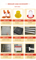 Cages Simples pour Poulets de Chair de Type H, Économie d'Espace pour 1000 Poussins