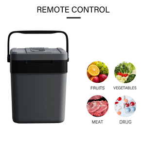 Nhiệt điện hộp làm mát di động tủ đông xe tủ lạnh DC 12V xe tủ lạnh ngoài trời mát AC 230 điện hộp mát lidl - Product Image 5