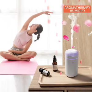 Mini nebulizador eléctrico portátil, humidificador de mano, 100ml, difusor de aceite esencial de aromaterapia de plástico para el hogar y el coche - Product Image 4
