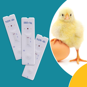 H9 H5 H7 H5n1 cúm gia cầm (cúm gia cầm) virus nhanh chóng kiểm tra H5 aiv gia cầm bệnh phát hiện Kit - Product Image 4