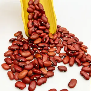 High Quality Edible Natural Dried Small Beans Red Kidney Bean pulses