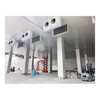 Unidad de Refrigeración Industrial de Gran Capacidad (1000 CBM) para Congelación Rápida de Mariscos, Almacenes Refrigerados