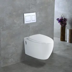 Tarpul白色马桶马桶WC卫生洁具洗手间陶瓷冲洗器一体式挂墙浴室马桶
