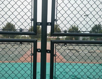 Tennisbaanbeveiligingshekwerk van kettingmat met gegalvaniseerde/PVC-coating, afmetingen aanpasbaar