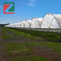 Rumah Kaca Film Multi Span dengan Tiang Y untuk Perlindungan dari Hujan bagi Stroberi dan Blueberry