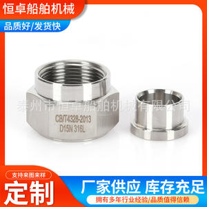 Connecteur de conduit flexible en métal étanche de type D, épaule plate extérieure, fileté, acier inoxydable, type DPJ, conduit de câble de type extrémité - Product Image 5