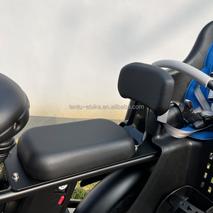 Vélo cargo électrique à longue portée avec double batterie au lithium, cadre en alliage d'aluminium à 7 vitesses <span class=keywords><strong>et</strong></span> siège pour bébé - Product Image 6