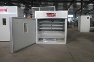 완전 자동 계란 터닝 500 계란 인큐베이터 닭 새 인큐베이터 HJ-I6 - Product Image 3