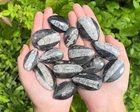 Colgante de collar de cuentas de piedra curativa de fósil negro natural de Orthoceras en forma de gota para arte popular DIY al por mayor - Product Image 3