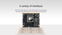 17.6TOPs BM1684 Octa-Core High Computing Power AI Mainboard avec encodage ffmpeg package Linux AI edge computing Developer Board