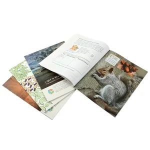 A granel en el extranjero Impresión de libro de bolsillo de libro de texto de impresión