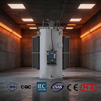 Régulateur de tension monophasé monté sur poteau à enroulement en cuivre 14,4KV 19,9KV 50KVA à 1000KVA OEM