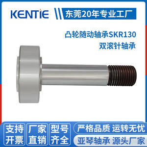 Rodamientos de Agujas de Doble Hilera de Alta Capacidad de Carga, Suministro Directo de Fábrica, Rodamientos de Giro SKR130 de Acero Inoxidable, Seguidor de Leva - Product Image 4